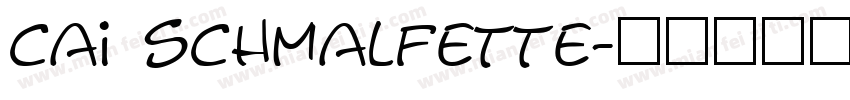 cai schmalfette字体转换